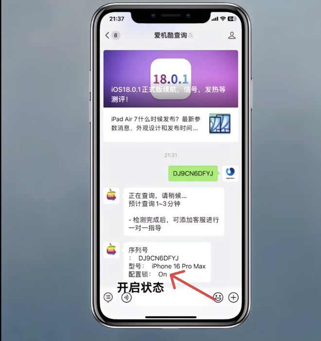 坑指南：这些便宜贪不得（苹果序列号查询）CQ9电子app春节购 iPhone 避(图4)